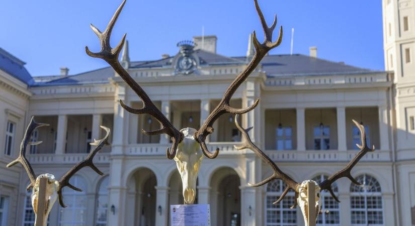Vadásznap és trófeamustra a kastély parkjában! - Vár Füzérradvány