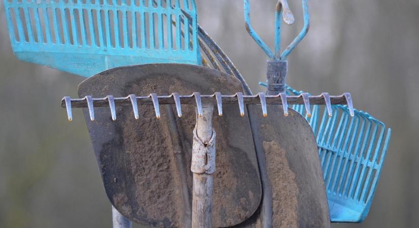 Egy gereblye három élete – mi mindenre jó az őszi lomb mellett?