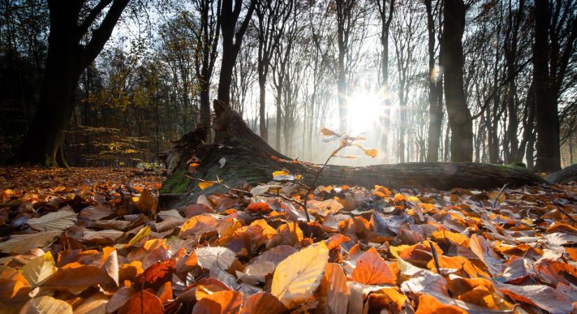Az időjárás hidegfronttal kezdi a hetet