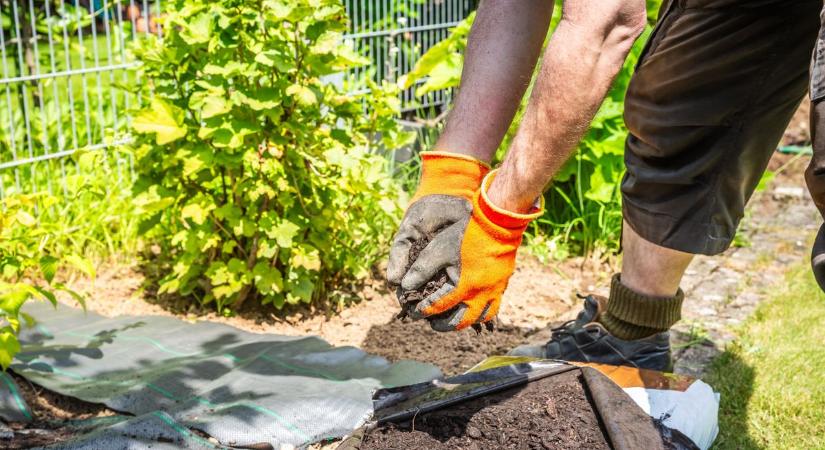 Őszi füvesítés? A legtöbben itt rontják el – pedig csak pár dologra kéne figyelni