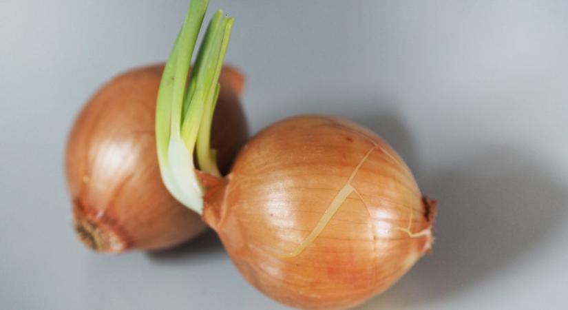 Sokan nem tudják, ehető-e még így a hagyma