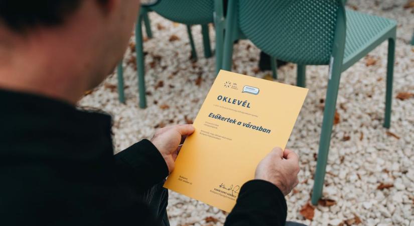 Ezek lettek a 2025-ös közösségi költségvetés nyertes ötletei