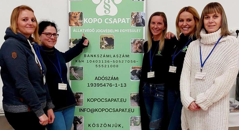 Tudtátok, hogy létezik állatvédelmi jogsegély szolgálat?
