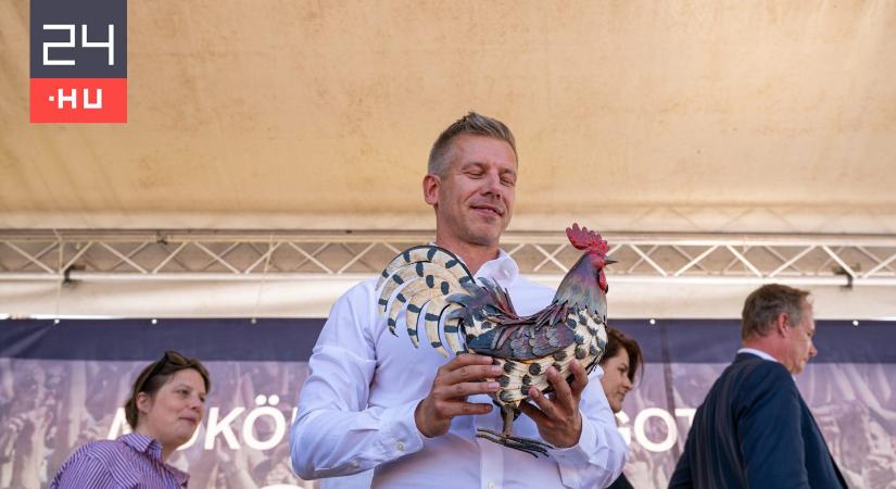 Mráz Ágoston elismerte, hogy nem jöttek be a lejárató kampányok Magyar Péter ellen