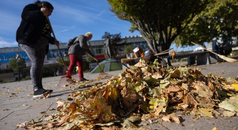 Mit kezdjünk a lehullott falevelekkel? – Tippek a zöldhulladék kezeléséhez