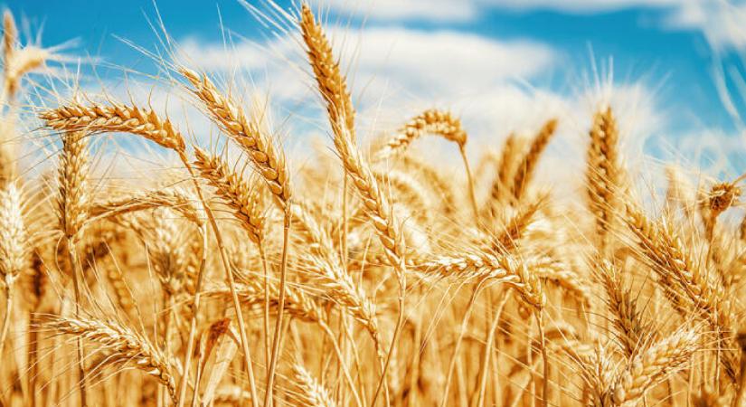 Érzékeny agrártermékekre vonatkozó vámokról határozott az Európai Unió