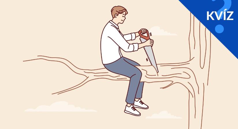 KVÍZ: 10 közmondás, de egy kulcsszó hiányzik – csak a legjobbak tudják pótolni!