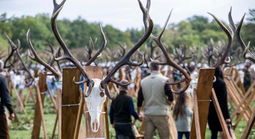 A világ élvonalában a magyar vadgazdálkodás