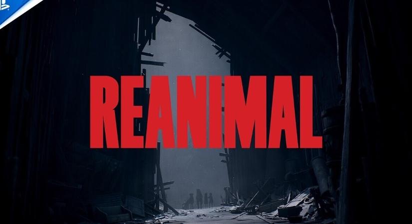 Mozgásban a REANIMAL