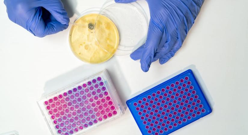 Figyelmeztet a WHO: milliók élete lehet veszélyben, egyre hatástalanabbak az antibiotikumok