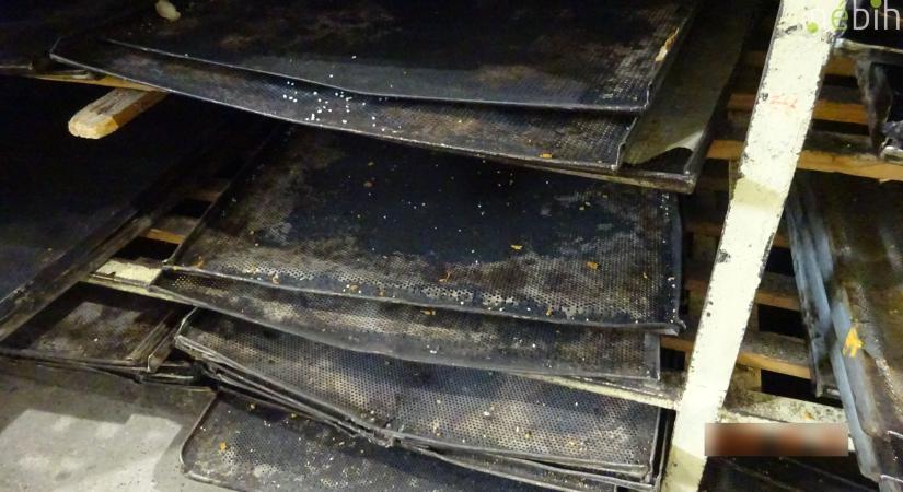 Felfoghatatlan állapotok egy hazai élelmiszerüzemben, azonnal bezáratták – videó is készült