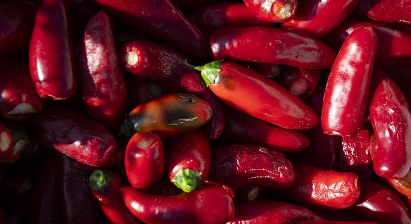 Börtönbüntetésre ítélték a tiszalöki börtön orvosát, aki chilis kesztyűben vizsgált aranyeret