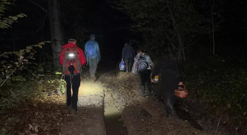 Három gombázót kerestek a Munkácsi járásban