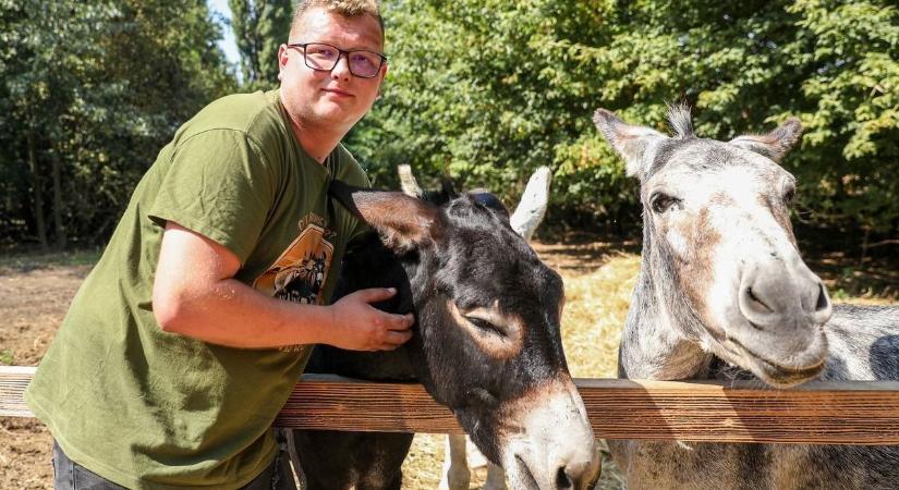 Újszülöttel gyarapodott a Kisfalud mellé költözött szamárfarm