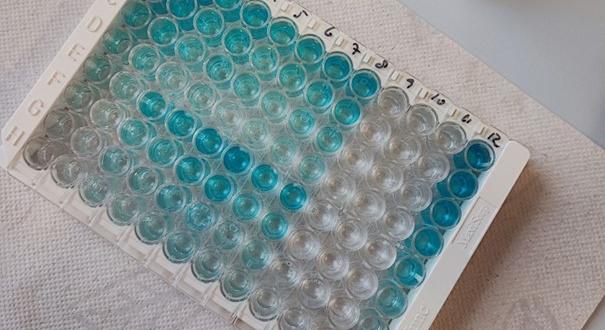 Komoly betegségek diagnosztizálásához és terápiájához járultak hozzá magyar kutatók