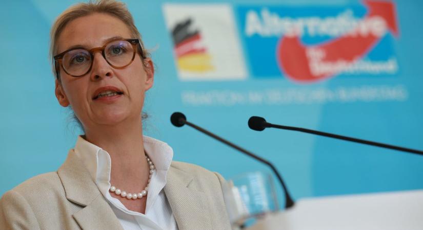 Kizárták az AfD jelöltjét Németországban, a választók feldühödtek