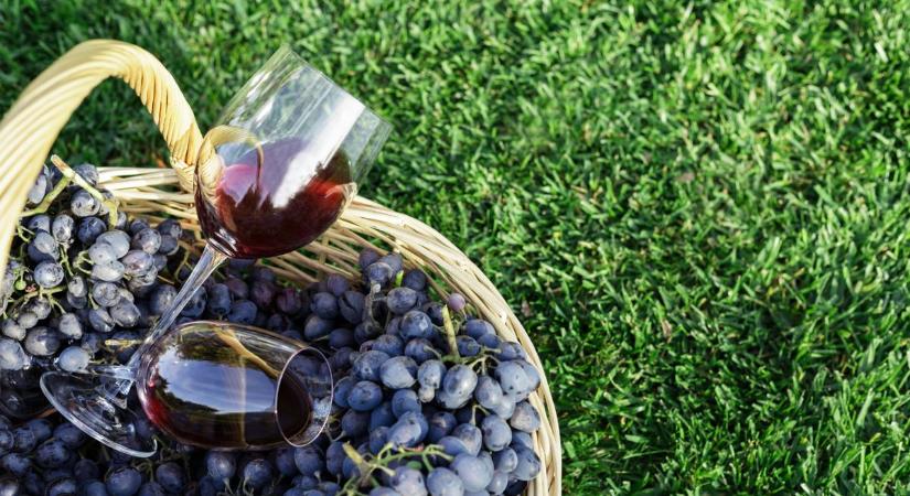 A felmelegedés eltörölheti a Pinot Noir-t?