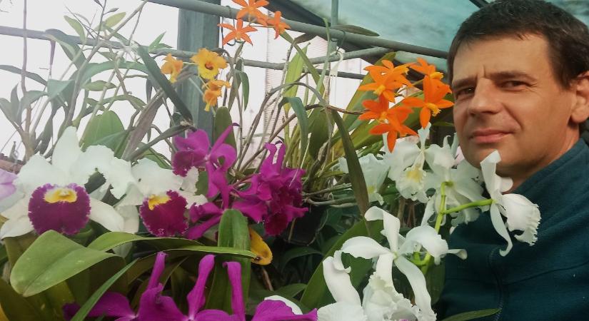 Orchideák és olajfoltok – a kisgépszerelő különös élete