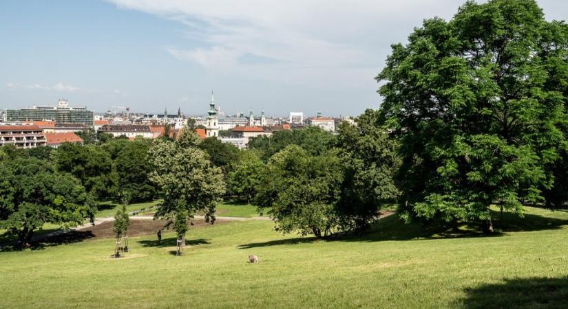 „Csak nem építési teleknek nézték ezt is?”