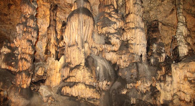 Együttműködést kötött az MVM és az Aggteleki Nemzeti Park a természetvédelemért