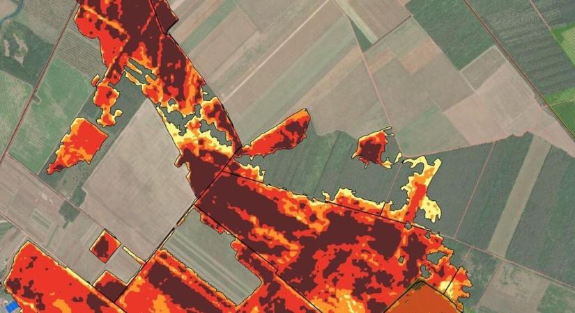 Szárazabb a talaj, mégis kevesebb a tűz? A látszat csal