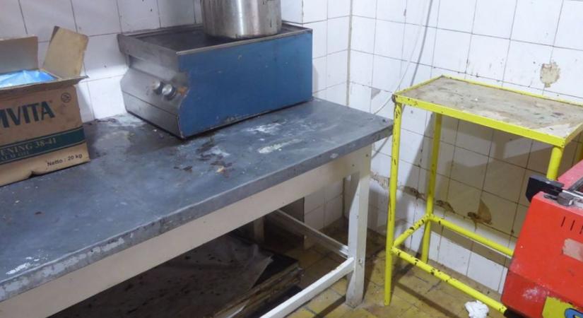 Brutál, mit találtak a kenyérben! Gusztustalan sztorik keringenek a bezáratott szabolcsi sütödéről