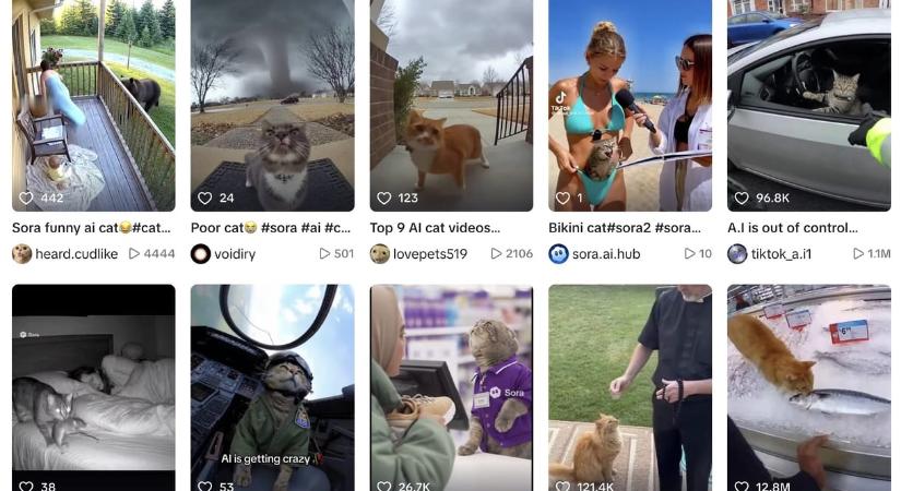 Mit jelent, ha a „Sora” felirat villog egy videón? Hát azt, hogy nem valódi a jelenet