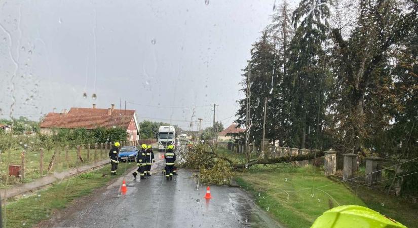 Újra előkerült a dugólétra Szabolcsban – hatalmas fa ága dőlt egy villanyvezetékre