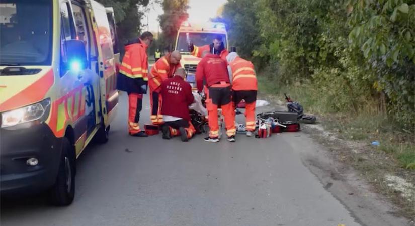 Meghalt egy rolleres. Őzzel ütközött