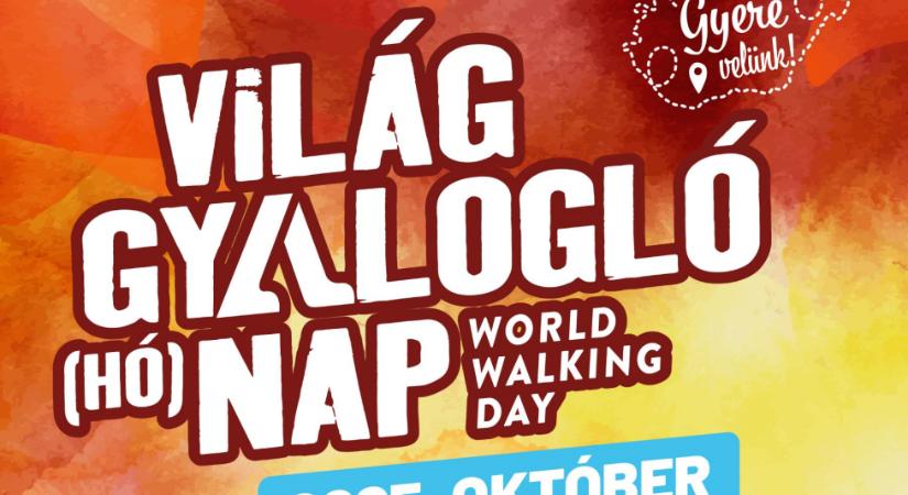 Gyalogtúra  Pszichológiai előadásásorozat  Testsúlycsökkentő program férfiaknak