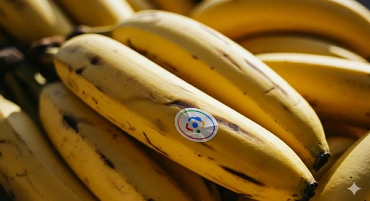 A Google új AI-ja, a Nano Banana, mindenhová betört – a keresésbe, a Fotókba és a NotebookLM-be is