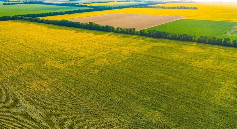 Erre minden gazdának szüksége lesz: hasznos agrárinformációk az MBH Banktól
