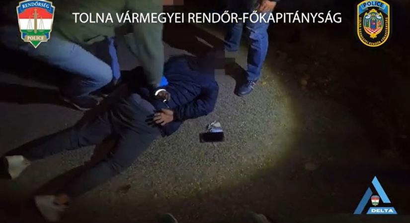 Zöld növény, piros lámpa – kattant a bilincs a szekszárdi díler kezén (videó)