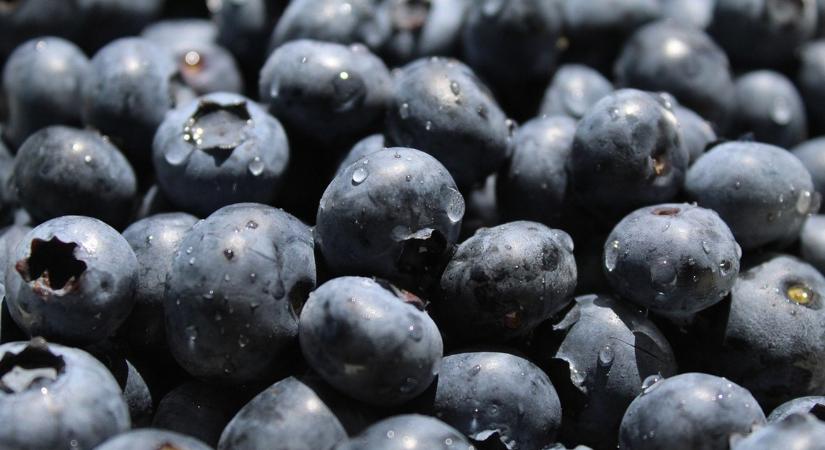 Lekapcsolták az illegális gyümölcsárusokat, durva bírságot is kaptak