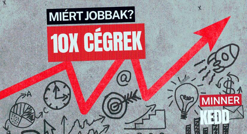 Stagnáló cégek vs gyorsan növekvő cégek. Mit csinálnak másként? Minner KEDD