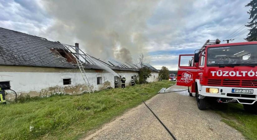 Több tízmilliónyi érték veszett oda