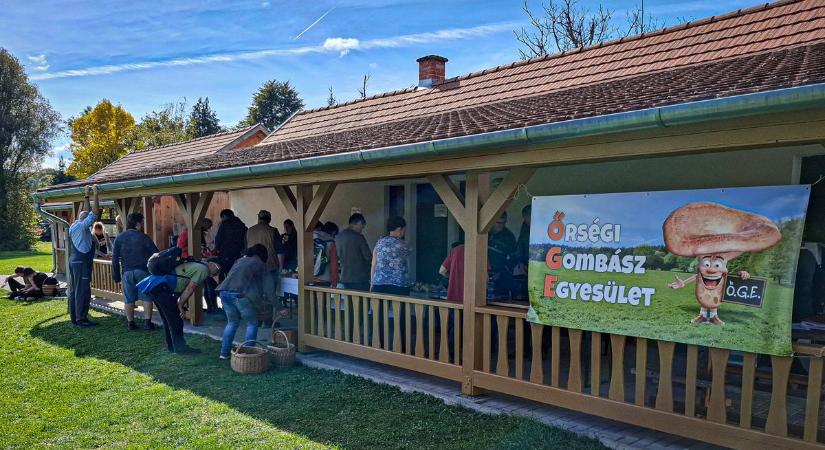 Igazi gomba-nagyhatalom lett az Őrség: elképesztő, mi mindent találtak