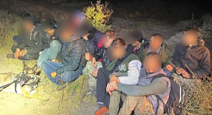 Migránsok gyújthatták fel az erdőt Ásotthalom mellett