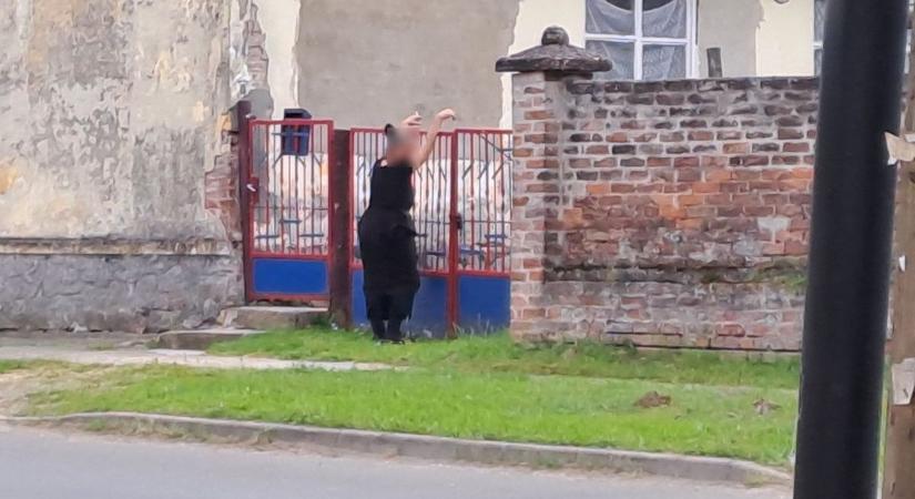 Itt a lomtalanítás, megjelentek a fura alakok több településen