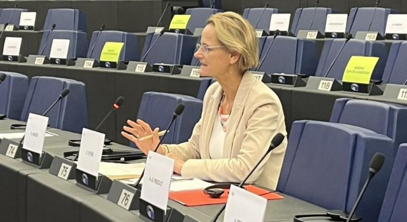 Győri Enikő: az Európai Néppárt ismét cserben hagyta a vállalkozásokat