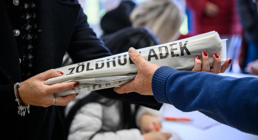 Idén is ingyenesen kaphatnak lombgyűjtő zsákokat a debreceniek – fotókkal