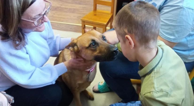 Meglőtték, élet-halál között lebegett Lia