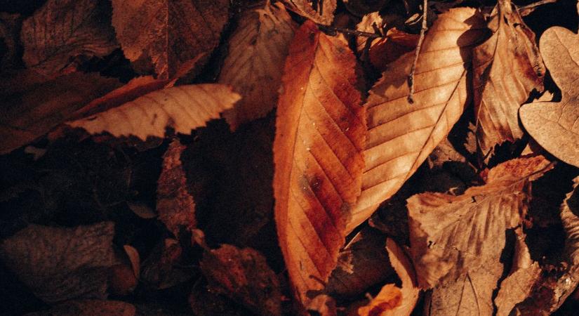Borúra derű – a holnapi időjárás előrejelzése
