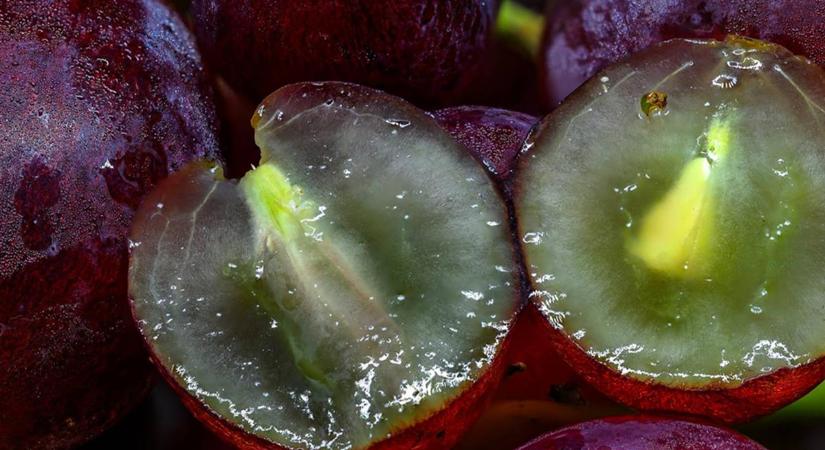 Nekik nem szabadna szőlőt enniük: komoly egészségügyi kockázatot jelent a számukra