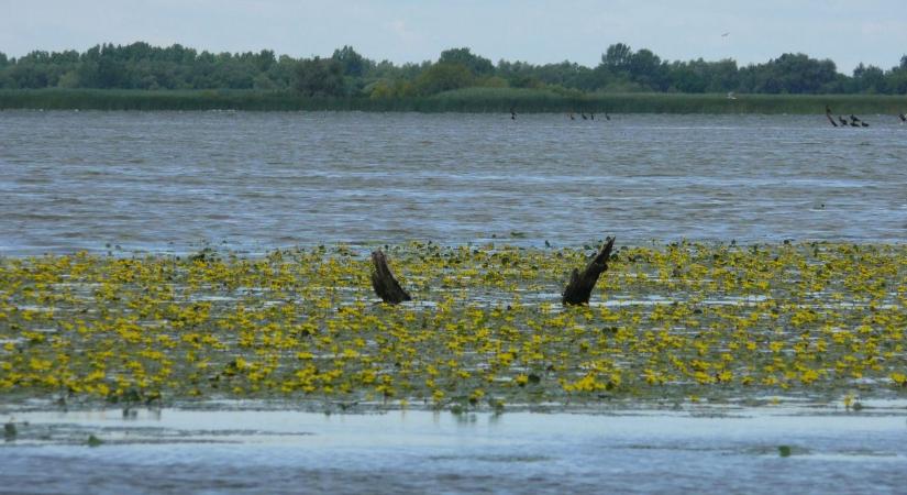 Téli üzem a Tisza-tavon: így védik a településeket és az infrastruktúrát