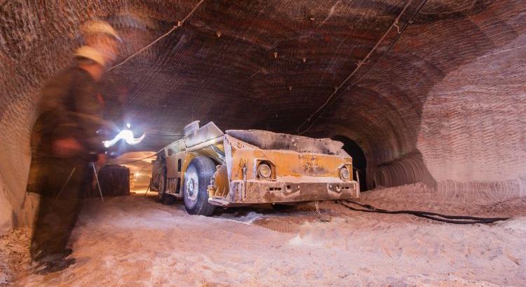 Kálium: a növények rejtett erőforrása