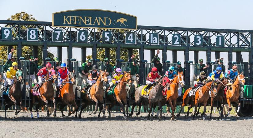 Kereskedési versenyt indít a Binance: Creditlink (CDL)