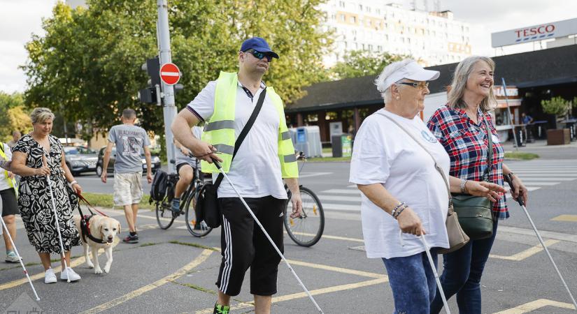 Fehér bot, erős lélek