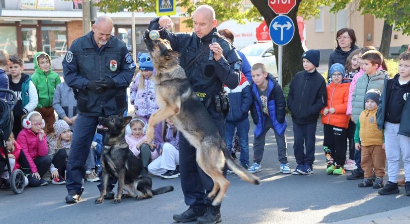Akadálypálya, részegszemüveg, borulásszimulátor - Közlekedésbiztonsági napot szerveztek Vasban