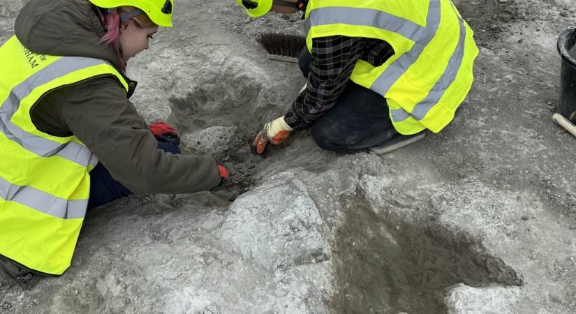 Sorra bukkannak elő a dinólábnyomok ebből a bányából, már több százat találtak